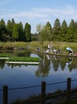 川口自然公園の写真のサムネイル写真30