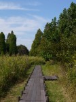川口自然公園の写真のサムネイル写真32