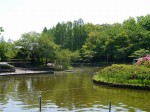 さぎ山記念公園の写真のサムネイル写真19