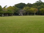 さぎ山記念公園の写真のサムネイル写真4