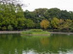 さぎ山記念公園の写真のサムネイル写真7