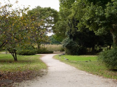 見沼自然公園の写真2