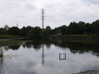 見沼自然公園の写真6