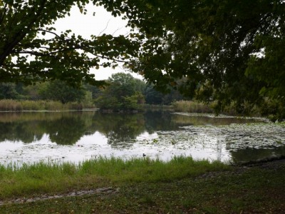 見沼自然公園の写真8