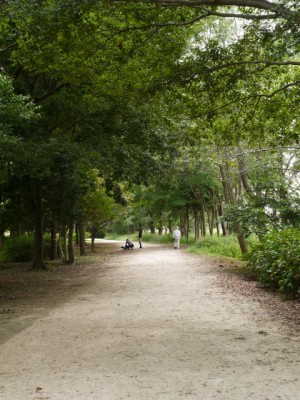 見沼自然公園の写真9