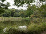 見沼自然公園の写真のサムネイル写真11