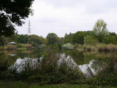 見沼自然公園の写真12