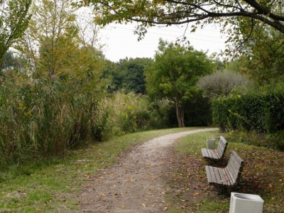 見沼自然公園の写真15