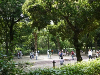 所沢航空記念公園の写真