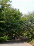 所沢航空記念公園の写真のサムネイル写真2