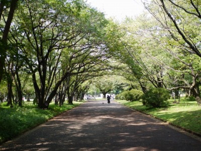 所沢航空記念公園の写真3