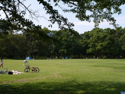 所沢航空記念公園の写真5