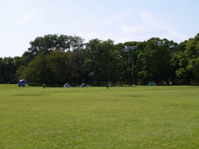 所沢航空記念公園の写真6