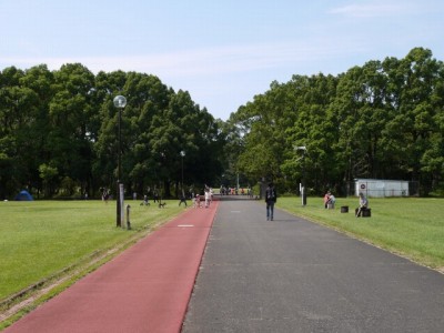 所沢航空記念公園の写真7