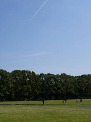 所沢航空記念公園の写真10