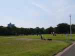 所沢航空記念公園の写真のサムネイル写真12