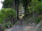 城峯神社の写真のサムネイル写真4