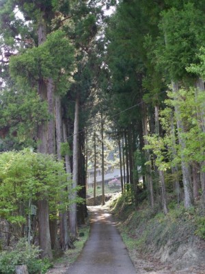 城峯神社の写真5