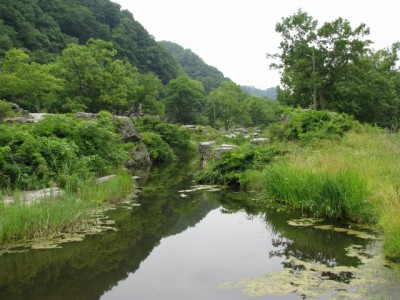 長瀞岩畳の写真10