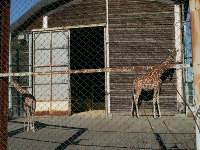 埼玉県こども動物自然公園の写真4