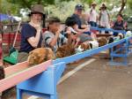 埼玉県こども動物自然公園の写真のサムネイル写真211