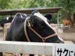 埼玉県こども動物自然公園の写真のサムネイル写真215