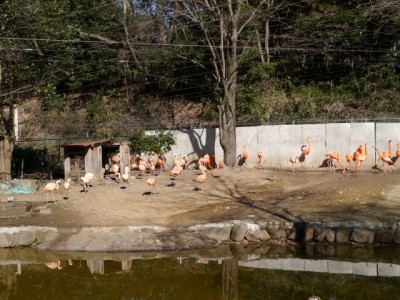 埼玉県こども動物自然公園の写真9