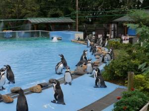 埼玉県こども動物自然公園の写真10