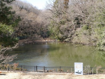 埼玉県こども動物自然公園の写真11