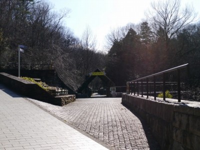 埼玉県こども動物自然公園の写真21