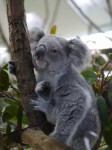 埼玉県こども動物自然公園の写真のサムネイル写真29