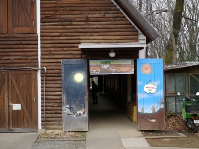 埼玉県こども動物自然公園の写真49