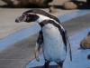 埼玉県こども動物自然公園の写真のサムネイル写真194