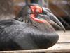 埼玉県こども動物自然公園の写真のサムネイル写真197