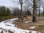 埼玉県こども動物自然公園の写真のサムネイル写真61