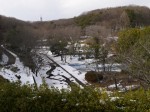 埼玉県こども動物自然公園の写真のサムネイル写真63