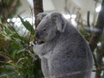 埼玉県こども動物自然公園の写真のサムネイル写真67