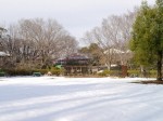 埼玉県こども動物自然公園の写真のサムネイル写真74