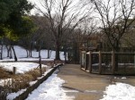 埼玉県こども動物自然公園の写真のサムネイル写真79