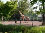 埼玉県こども動物自然公園の写真のサムネイル写真86