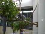 埼玉県こども動物自然公園の写真のサムネイル写真90