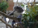 埼玉県こども動物自然公園の写真のサムネイル写真91