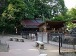 埼玉県こども動物自然公園の写真のサムネイル写真95