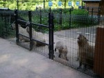 埼玉県こども動物自然公園の写真のサムネイル写真102