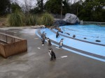 埼玉県こども動物自然公園の写真のサムネイル写真107