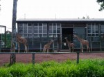 埼玉県こども動物自然公園の写真のサムネイル写真112