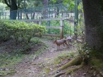 埼玉県こども動物自然公園の写真のサムネイル写真115