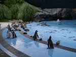 埼玉県こども動物自然公園の写真のサムネイル写真117