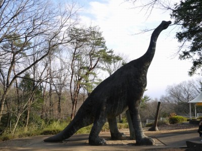 埼玉県こども動物自然公園（こどもの城と恐竜コーナー）の写真16