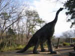 埼玉県こども動物自然公園の写真のサムネイル写真176